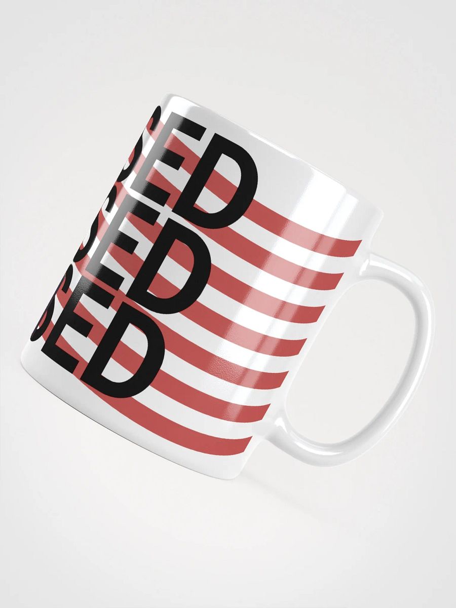 BASED American Flag Mugshot ~Mug~ product image (5)