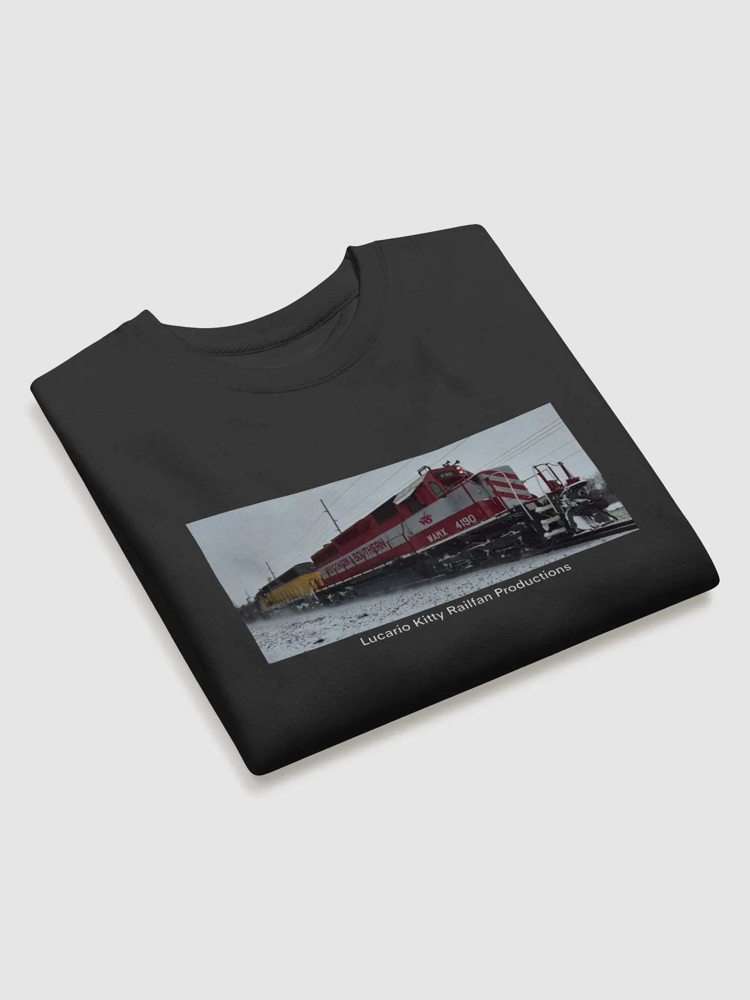Wisconsin & Southern 4190 Sweatshirt product image (3)