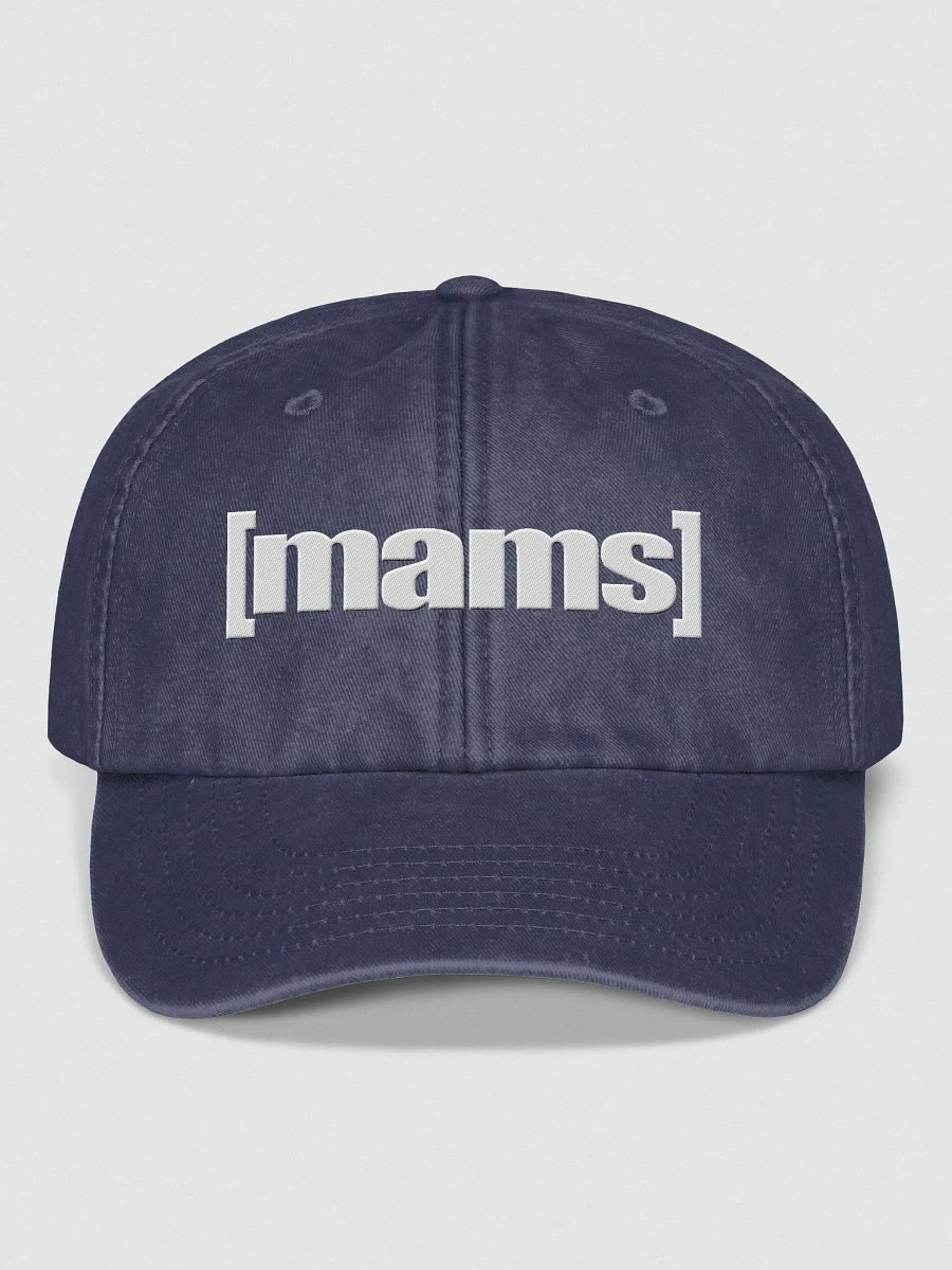 [mams] swim dad product image (1)