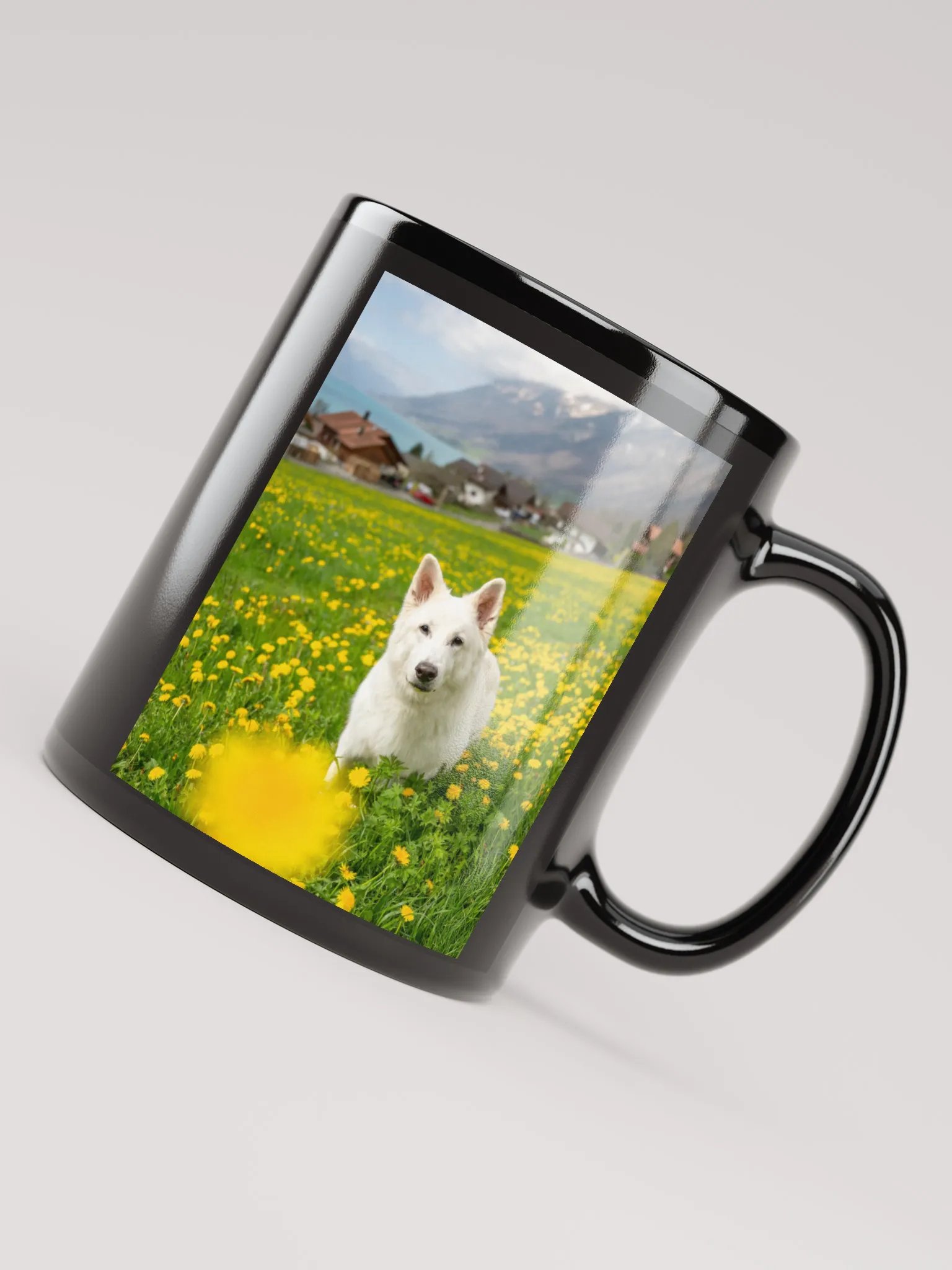 Rasta with Dandelions in Brienz product image (7)
