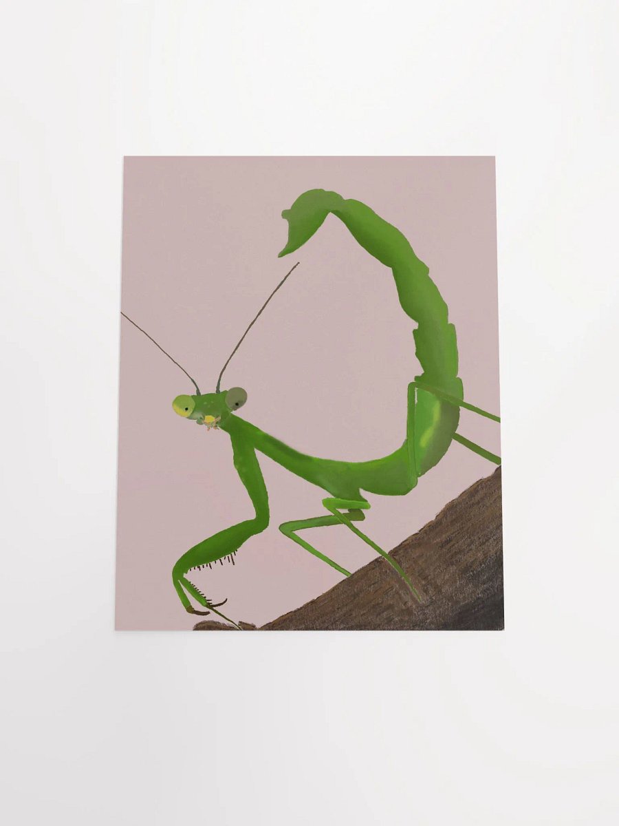 Mantis 2.0 Poster product image (4)