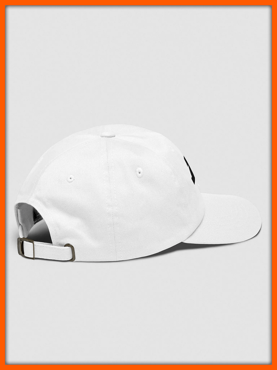 D2S "Coal" Dad Hat product image (4)