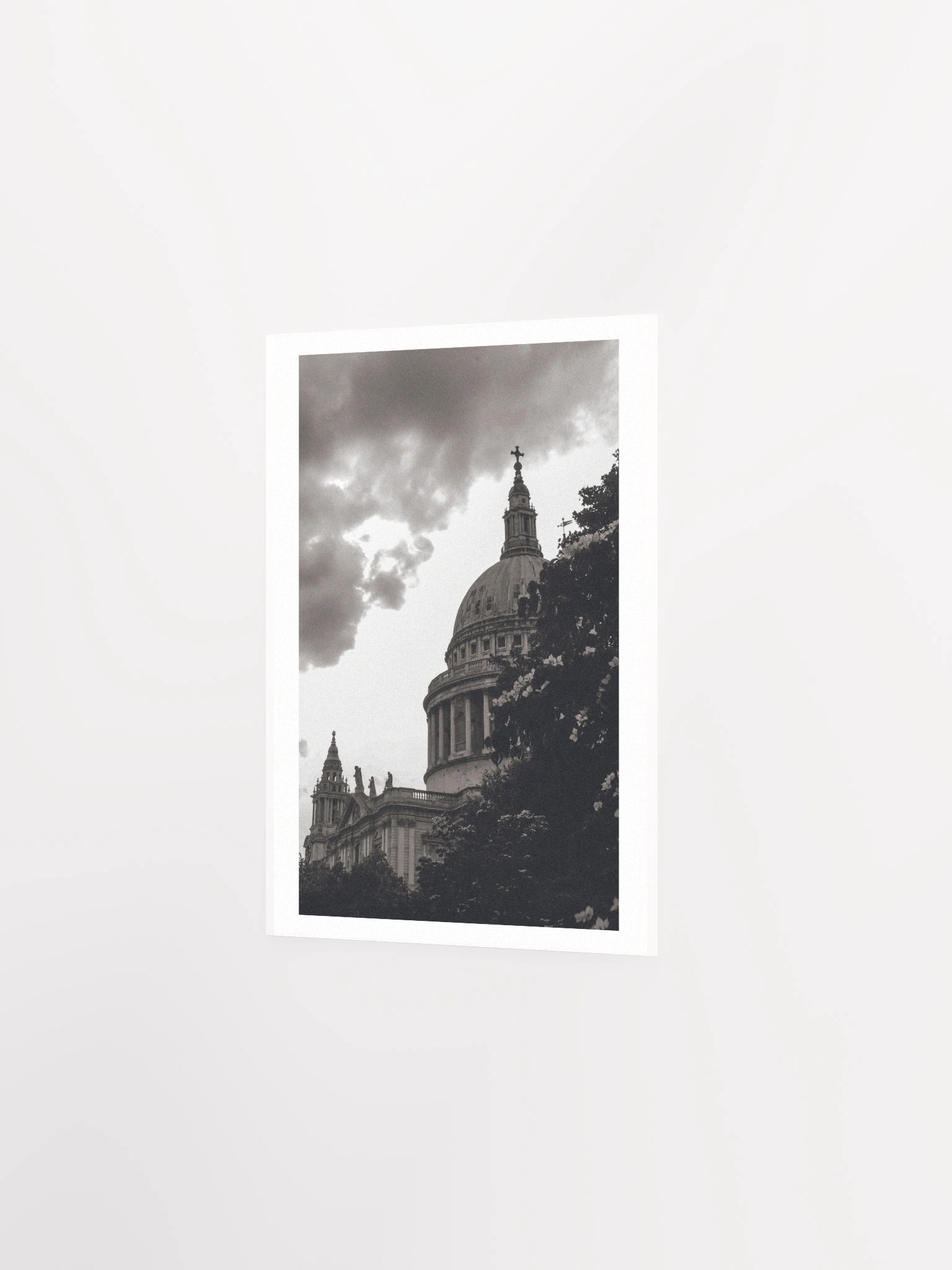 Flowers of St. Paul - Black & White / Print product image (15)
