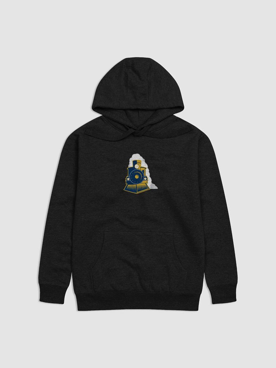 Express Premium Unisex Hoodie product image (4)