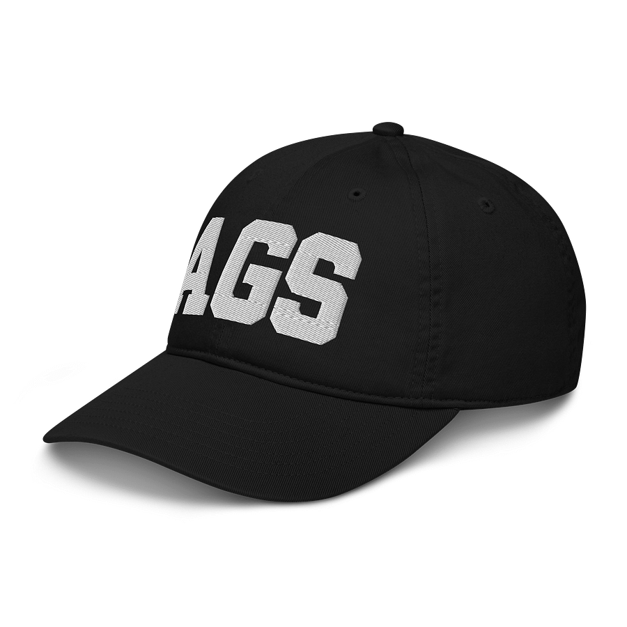 AGS Organic Dad Hat by Econscious product image (7)