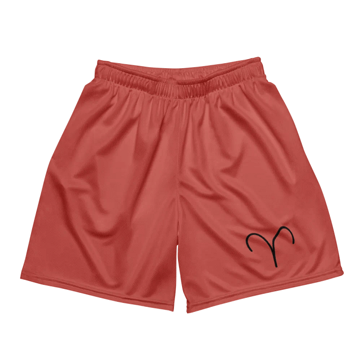 Aries Symbol Recycled Mesh Shorts product image (2)