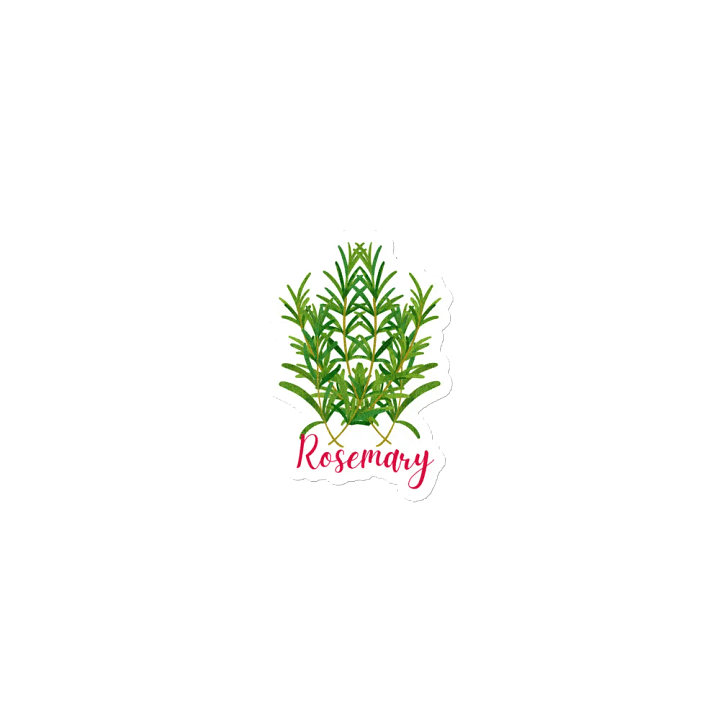 Rosemary Herb Gardening Magnet product image (1)