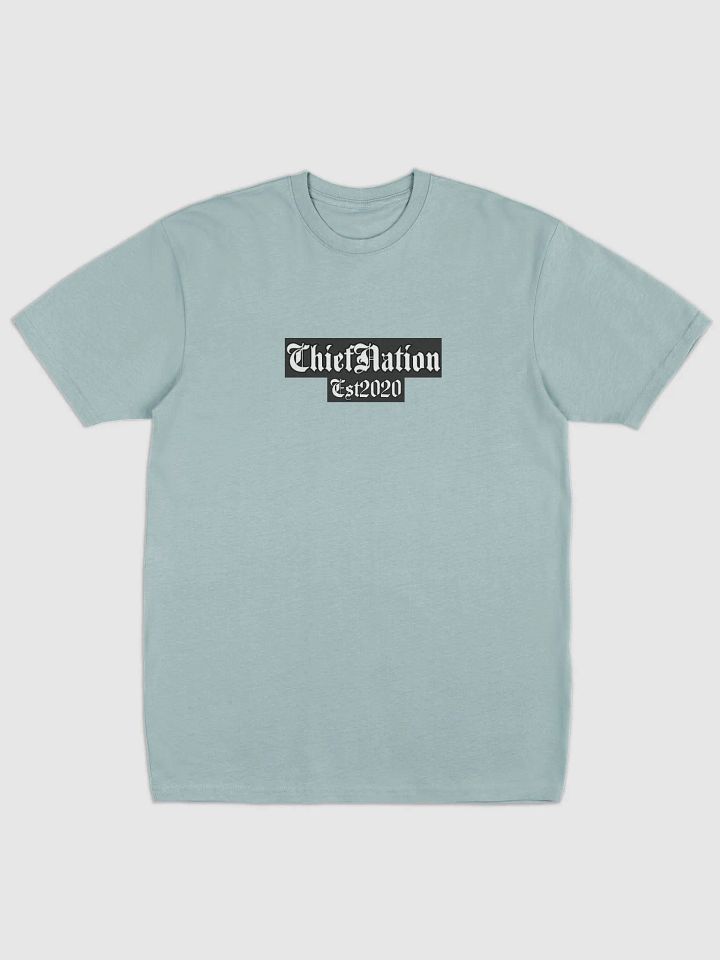 Native Identity Statement Tee ChiefNation Est2020 product image (5)