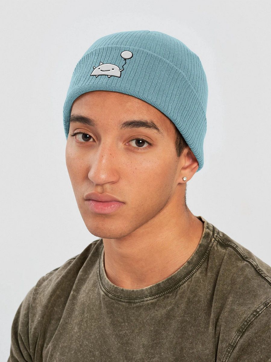 Balloon Guy Beanie Alt product image (23)