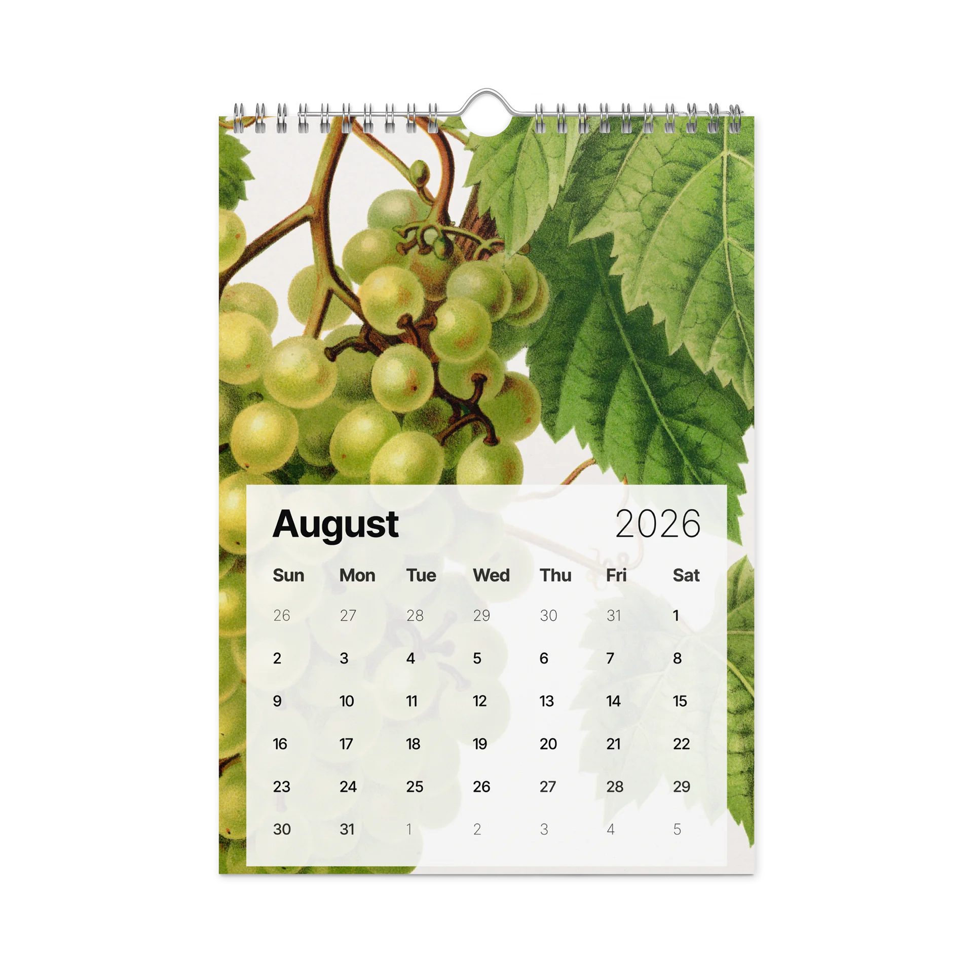 DK 2026 Wall Calendar product image (9)