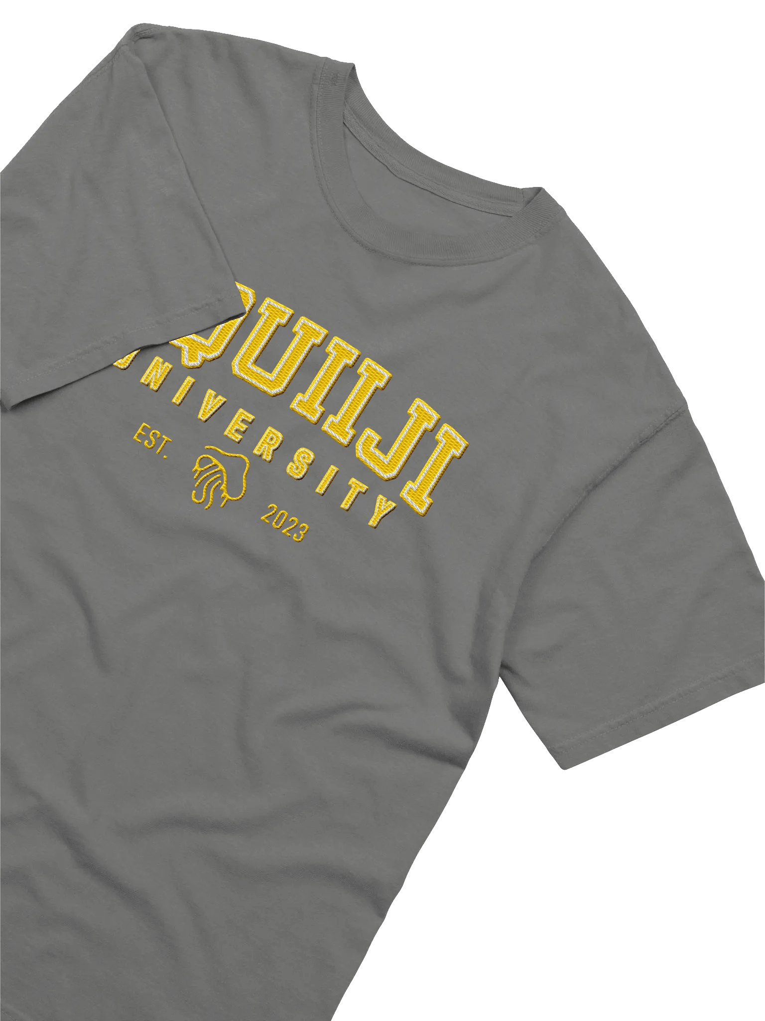 Squiiji University Embroidered Tee product image (23)