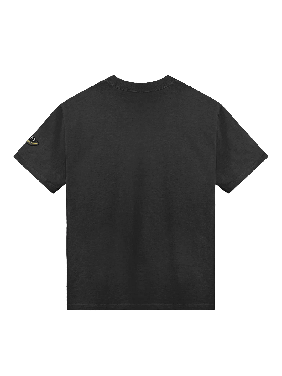 Stellar Emblem Oversized Tee product image (5)