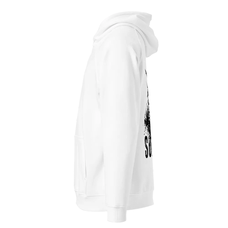 Organic Raglan Hoodie product image (3)