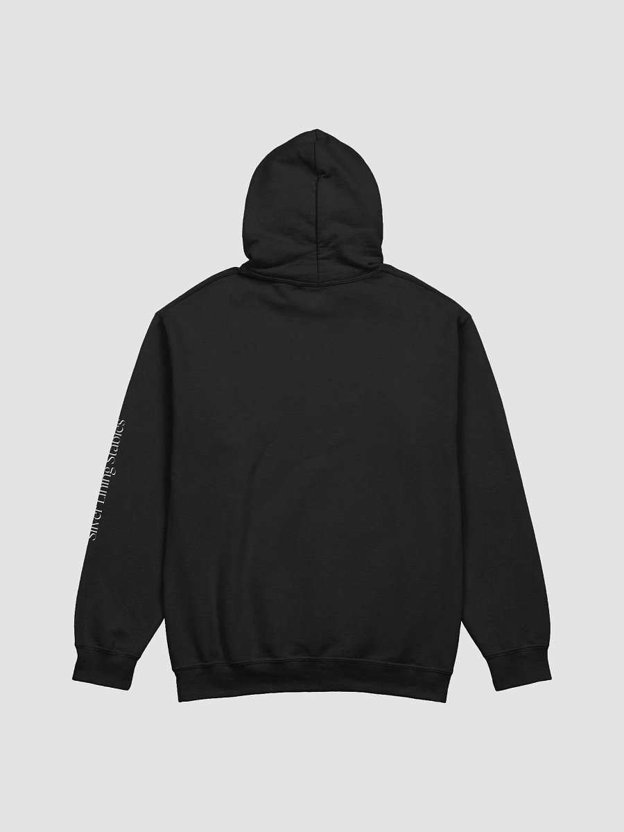 Easily Distracted Classic Hoodie product image (4)