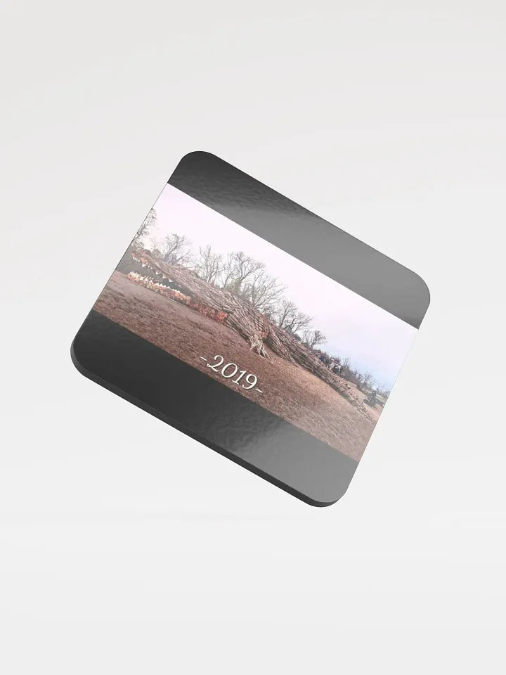 Coaster Collection - 2019 Alligator product image (1)