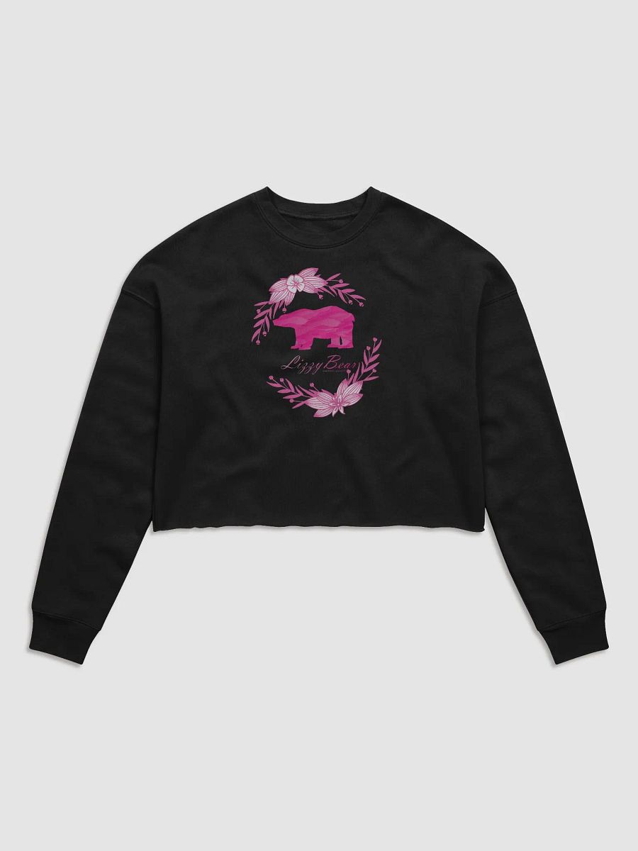 LizzyBear Crop Sweater product image (1)