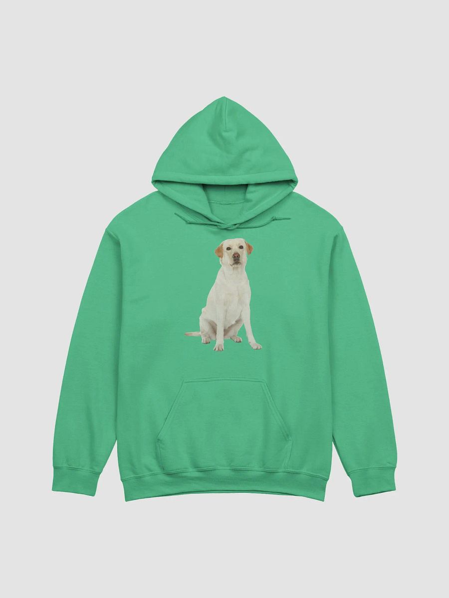 Unisex Labrador Retriever Hoodie – Ultimate Comfort with a Loyal Touch product image (37)