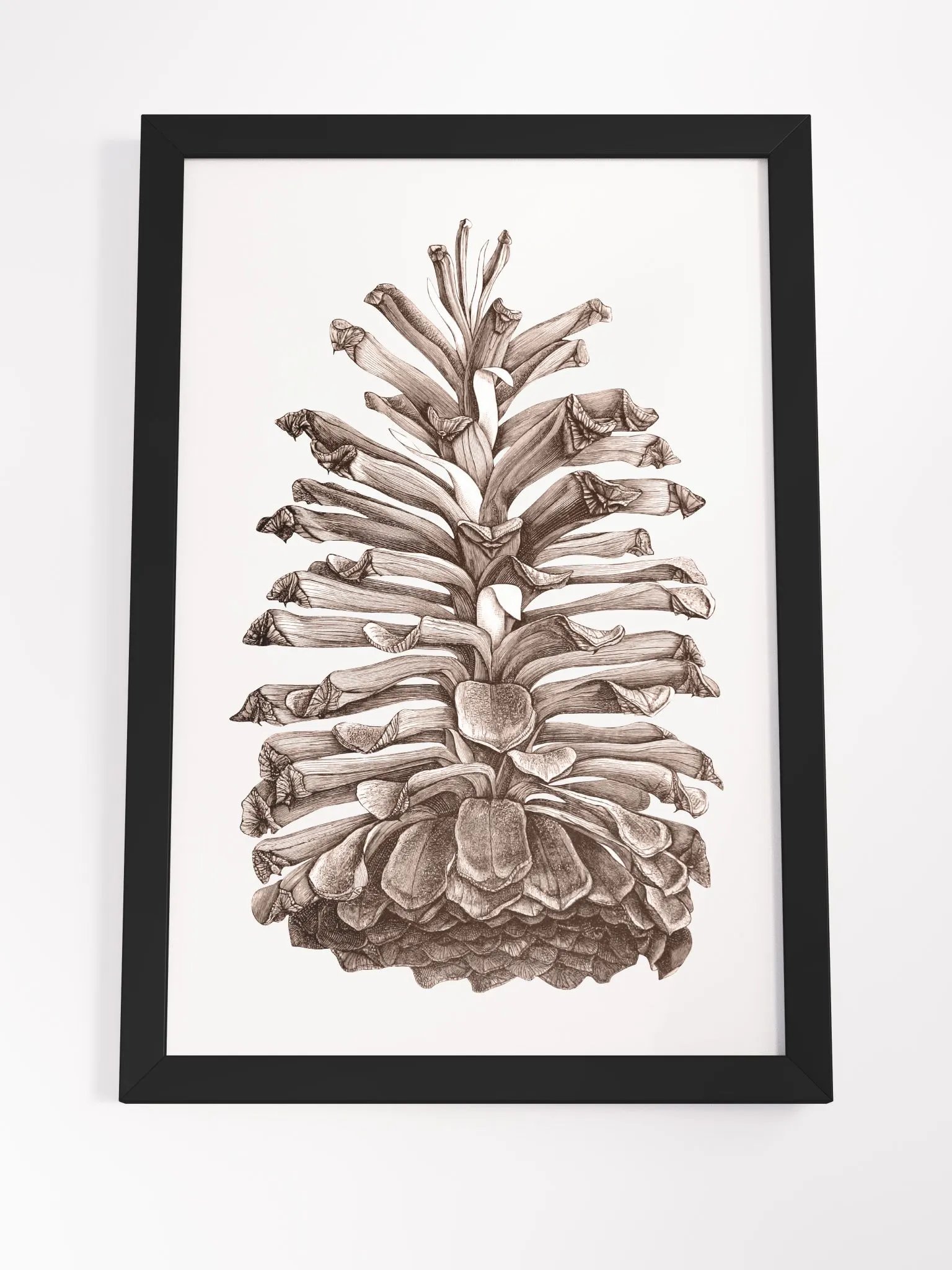 Ecotone Pine Cone Framed Print product image (4)