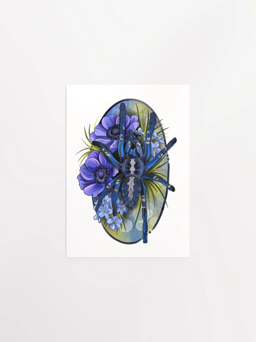 Poecilotheria metallica product image (1)