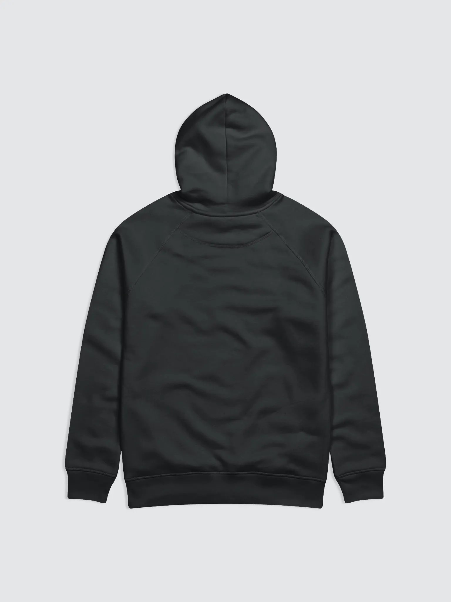 Power In the Blood | Organic Cotton | Hoodie Male product image (3)