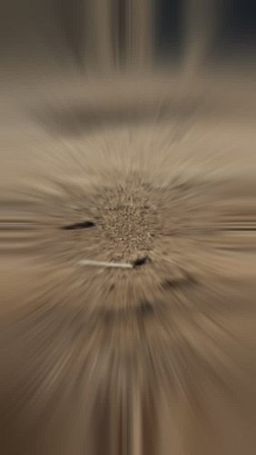 Winter Walk #WalkEveryDay