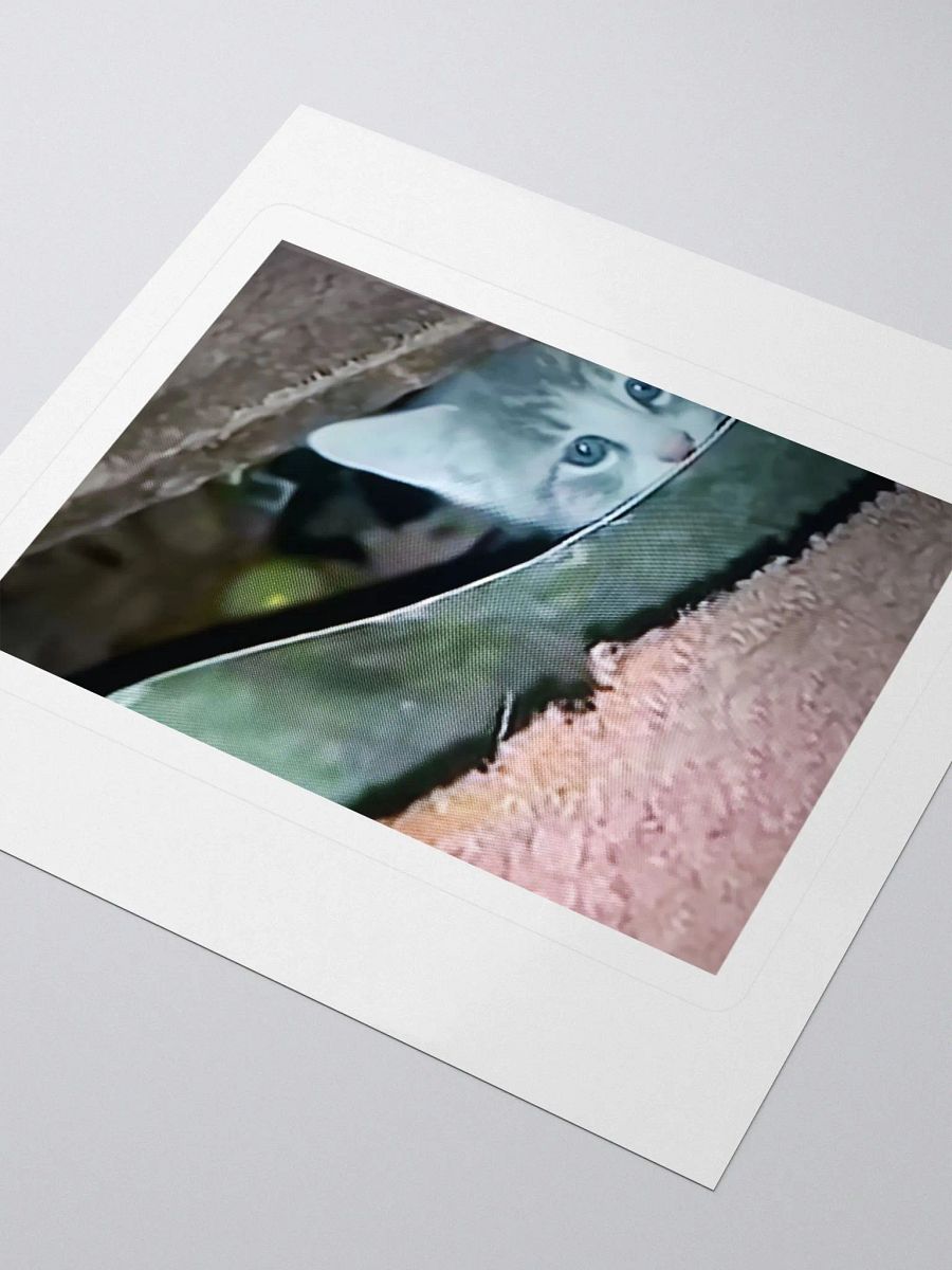 Cute_Kitty Sticker product image (11)