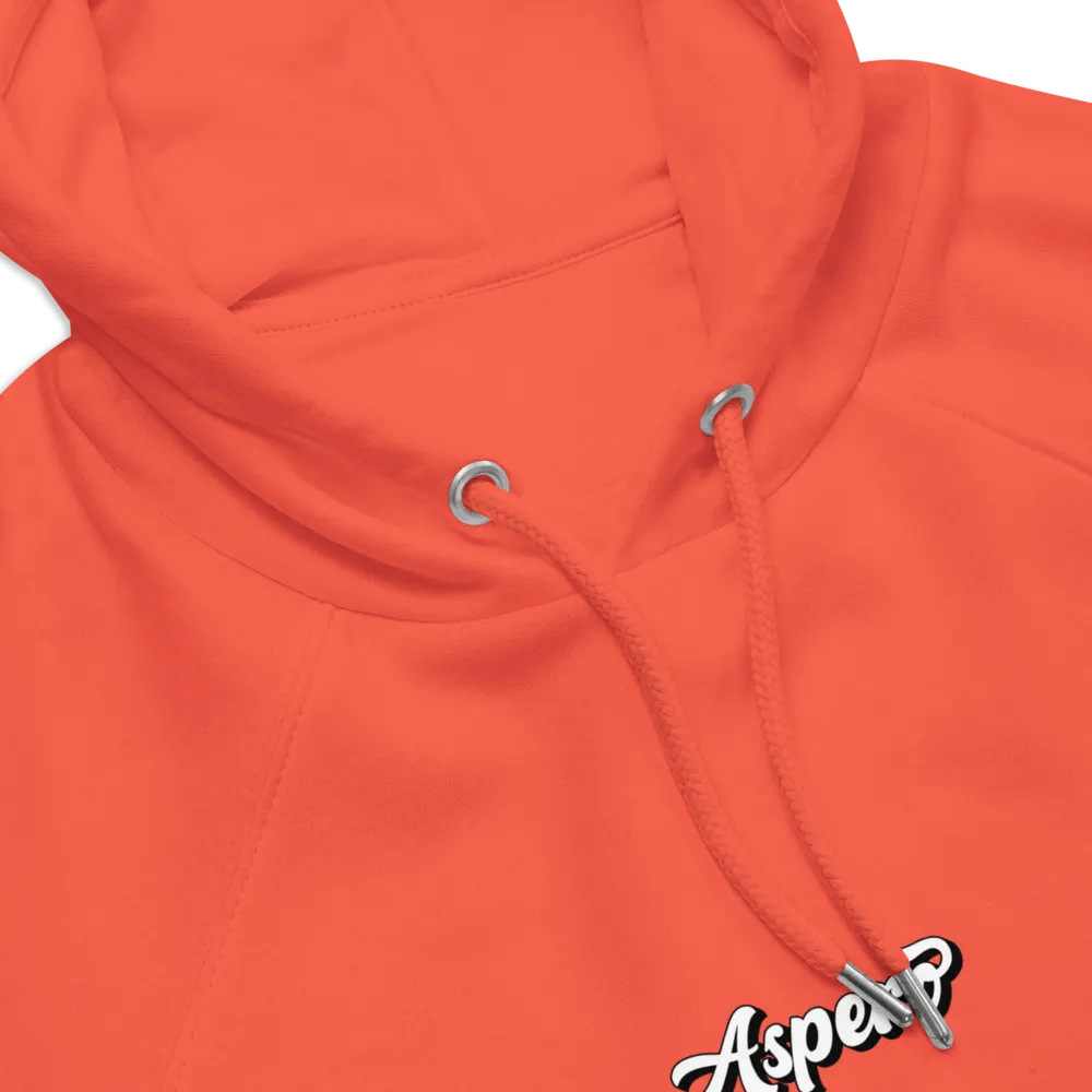Aspero Bogotá SOL'S Unisex Eco Raglan Hoodie product image (101)