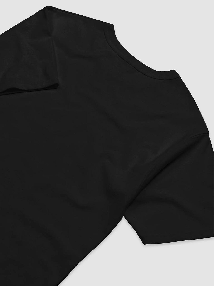 PM Day 7 Champion T-Shirt product image (8)