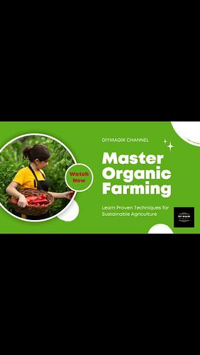 Organic Gardening is easier than you think!#organic #home #freshproduce