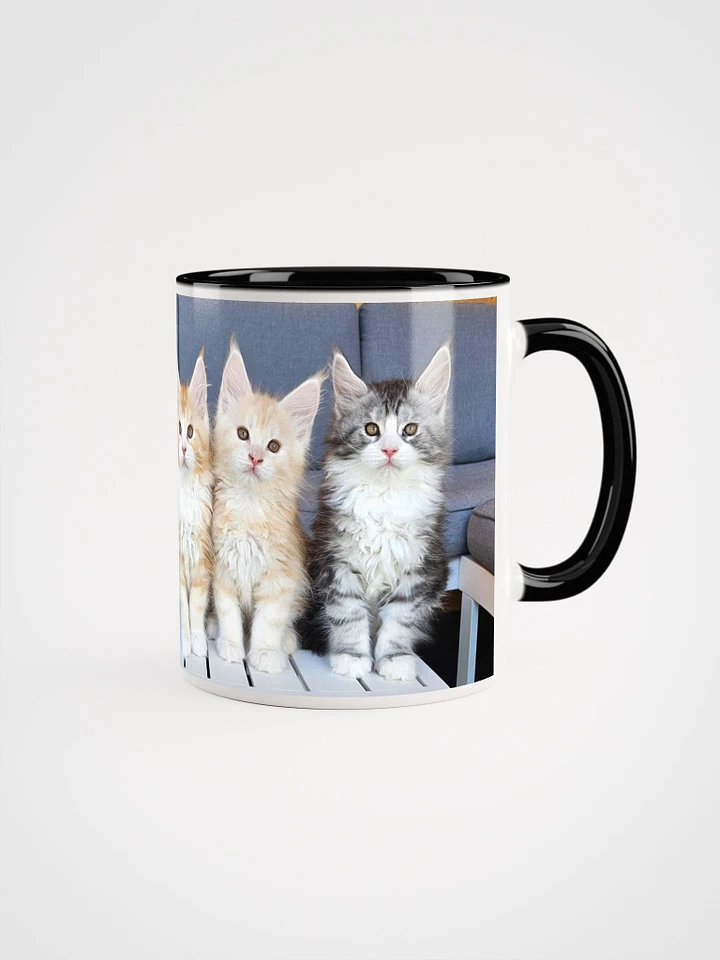 Maine Coon Kittens Mug With Color product image (1)