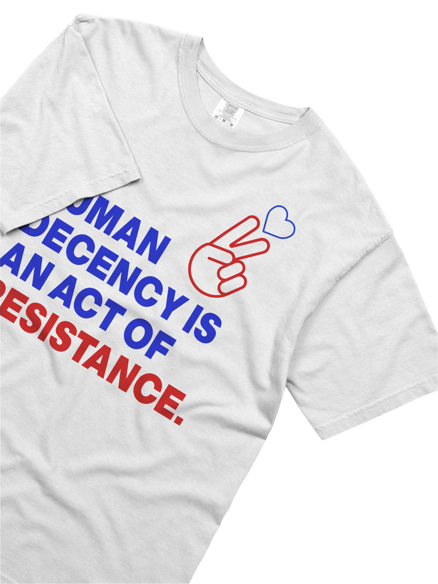 HUMAN DECENCY IS AN ACT OF RESISTANCE product image (3)