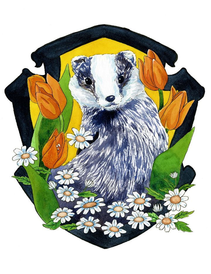 Spring Badger 8.5x11 Print product image (1)