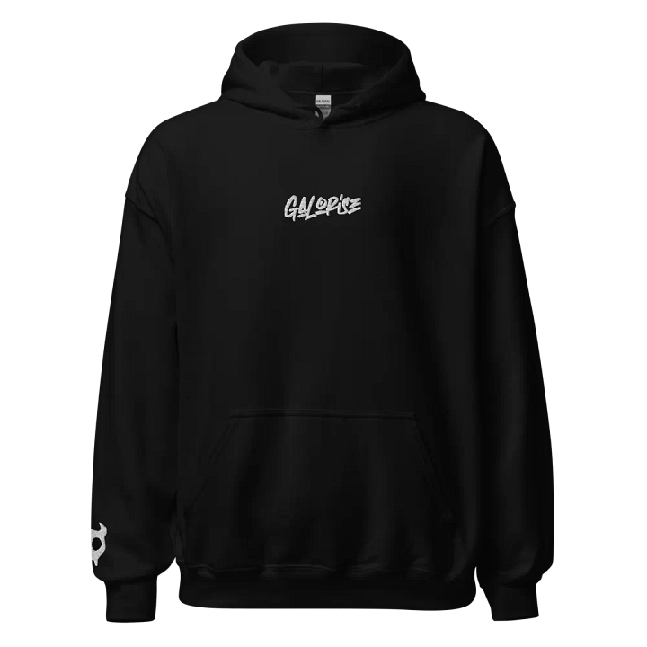 Galorise 420 Hoodie product image (2)