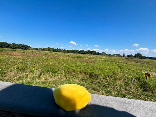 Been getting out lately.
More on Patreon
Touch some grass, it’s good for your mental health I promise