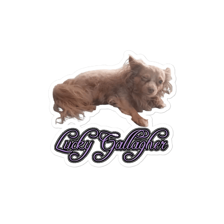 Lucky Magnet product image (2)