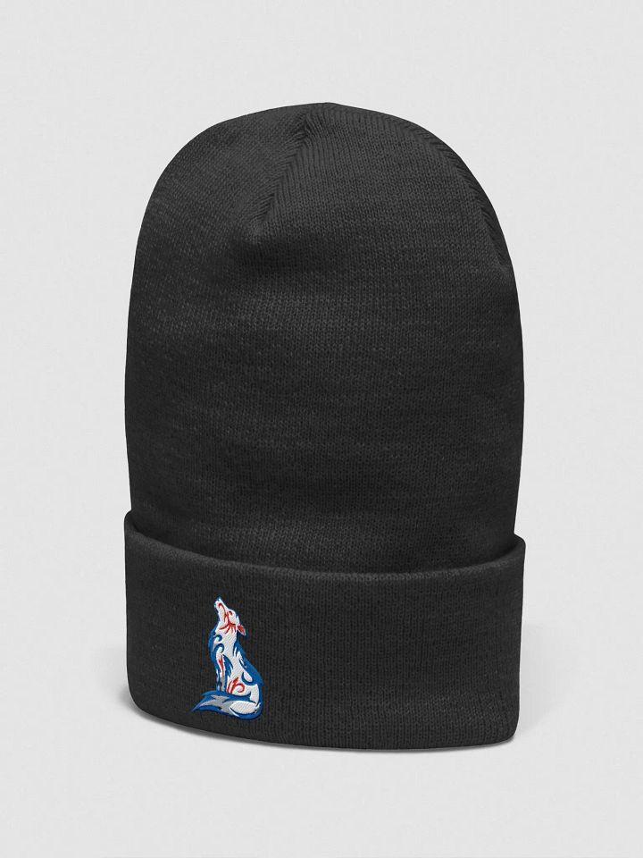 Saichi Beanie product image (2)