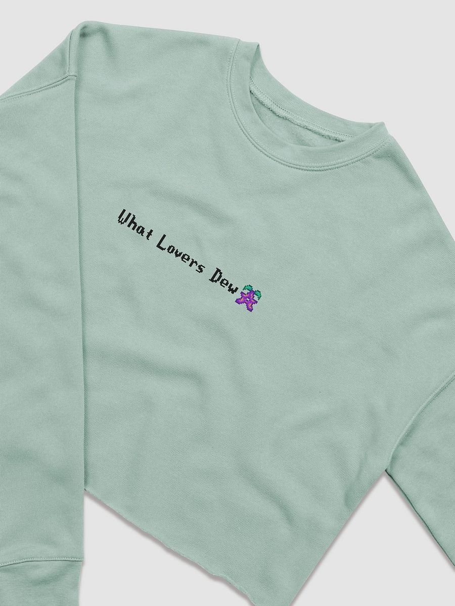 What Lovers Dew - Cropped Long Sleeve product image (3)