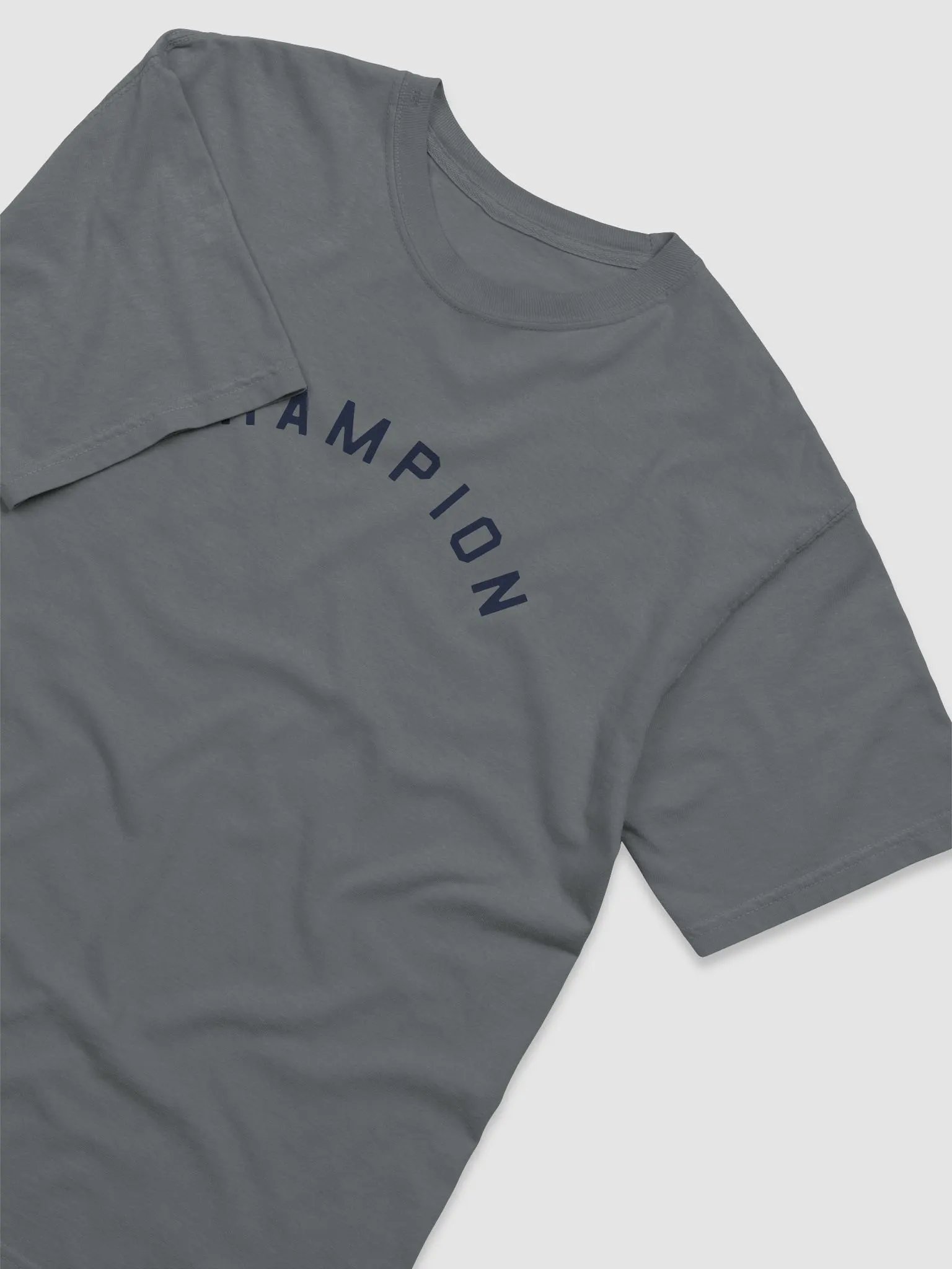 Champion T-Shirt on Gray/White/Ivory product image (8)