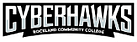 Cyberhawks