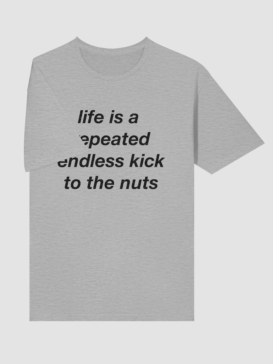 Life is repeated endless kick to the nuts product image (10)