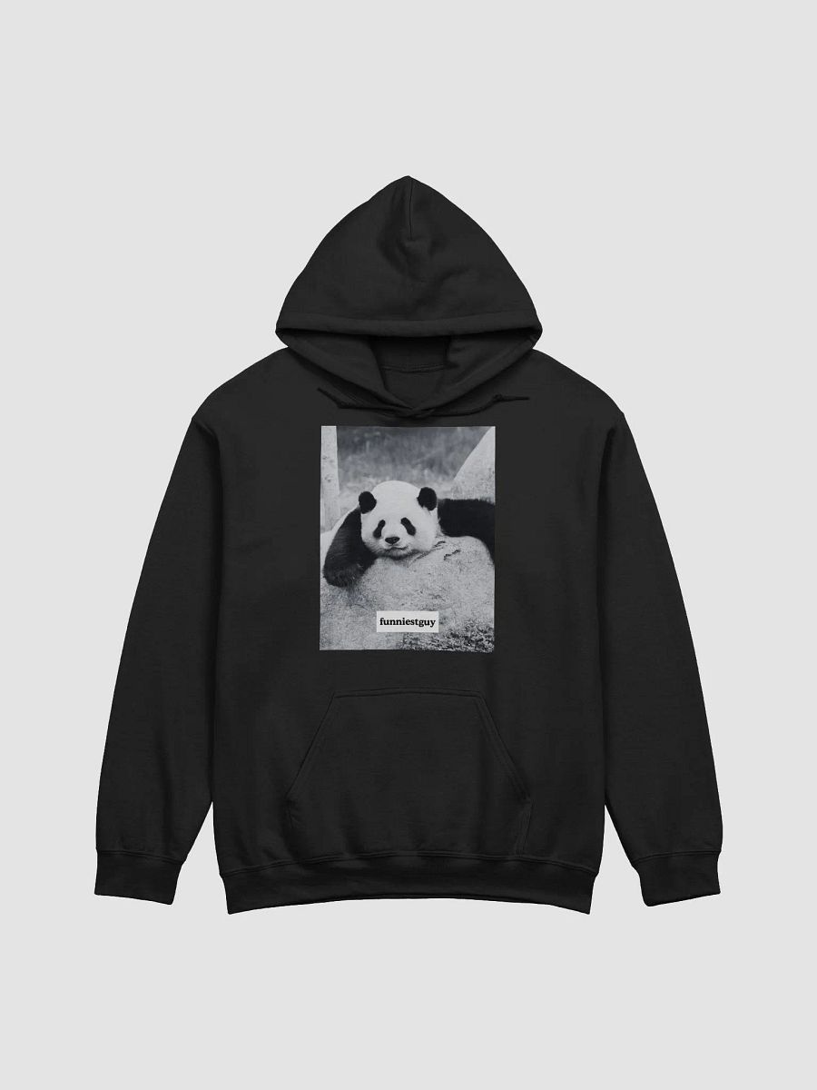 panda hoodie product image (1)