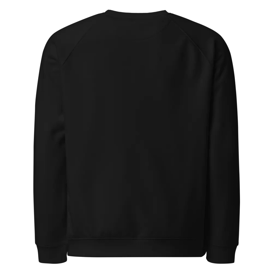 Snow Globe Christmas Sweatshirt product image (5)
