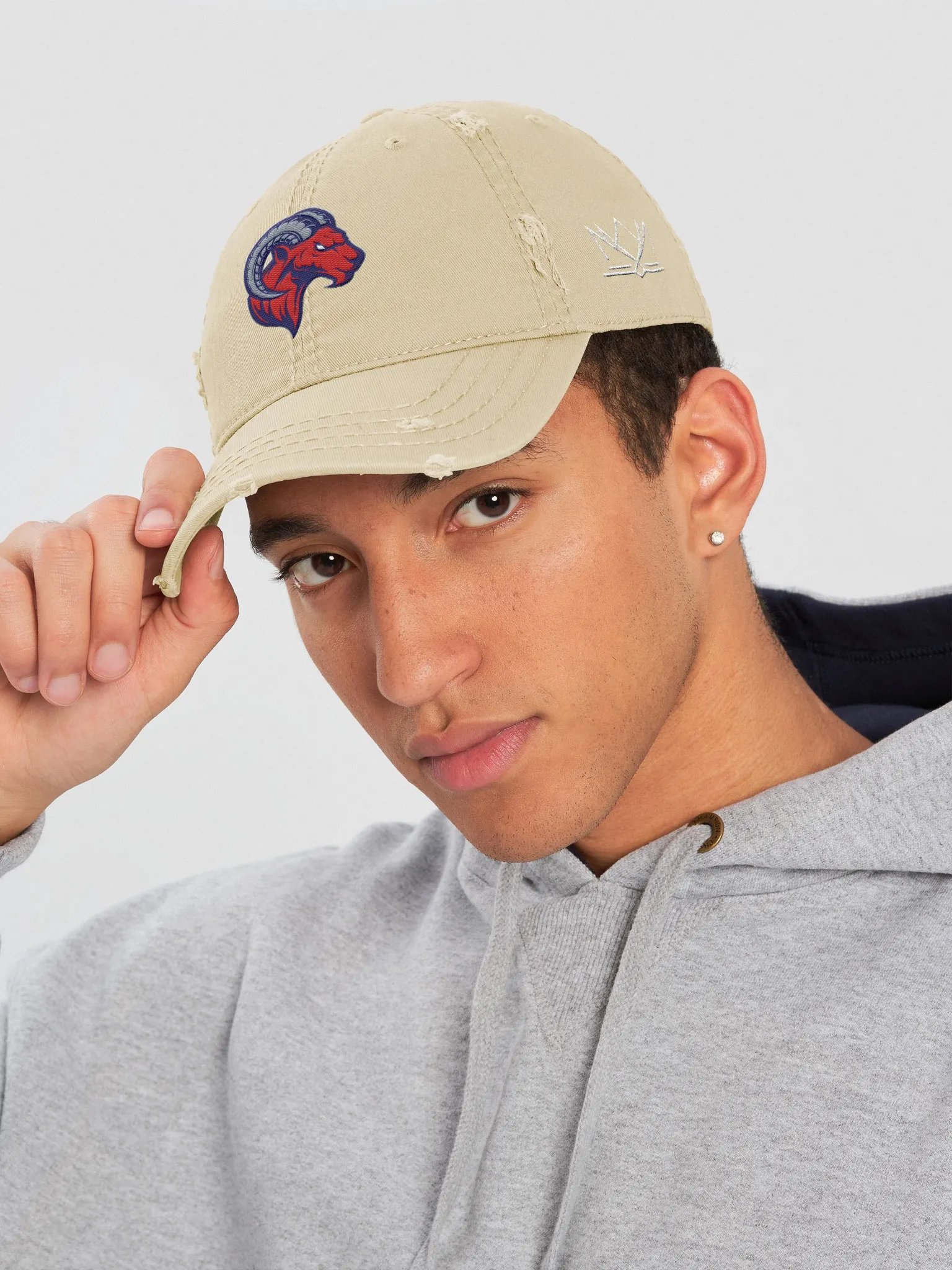 Rochester Ragin Rams Distressed Dad Hat product image (5)
