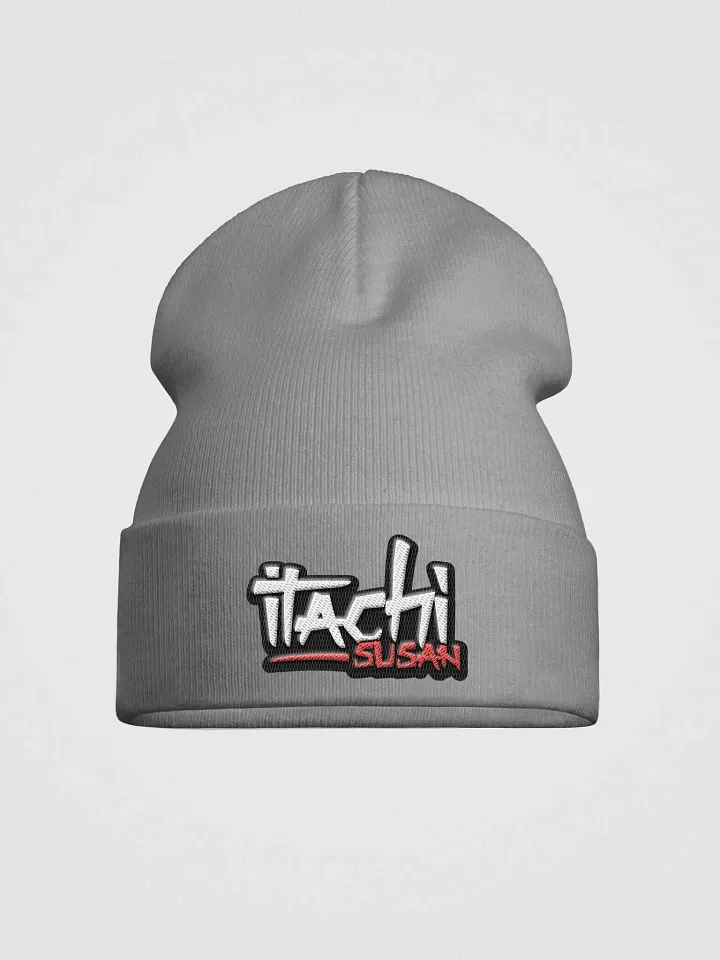 Beanie product image (2)