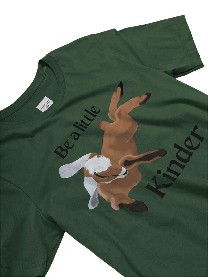 Be a Little Kinder T Shirt product image (2)