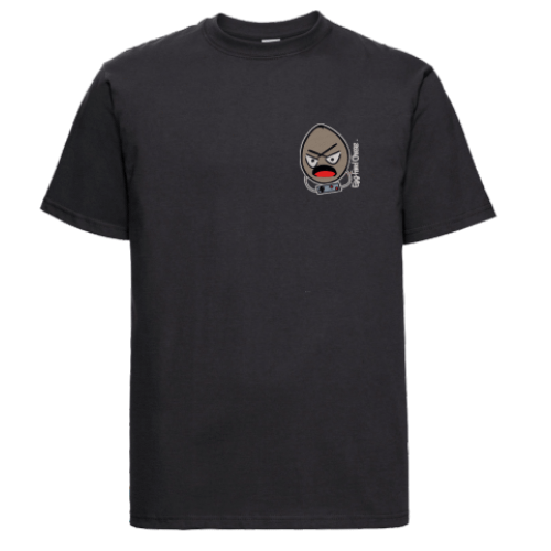 Embroidered T-shirt (Breast Logo) product image (1)
