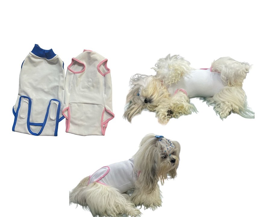 Roupa Cirúrgica Bory - Modelagem Pet PDF product image (2)