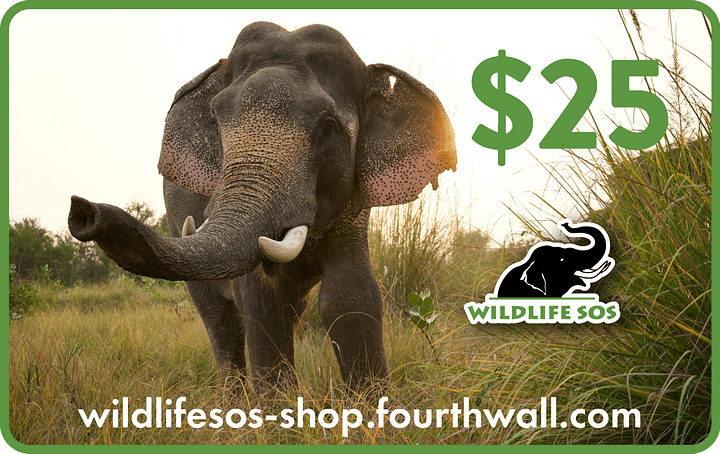 Wildlife SOS Store Gift Card product image (1)