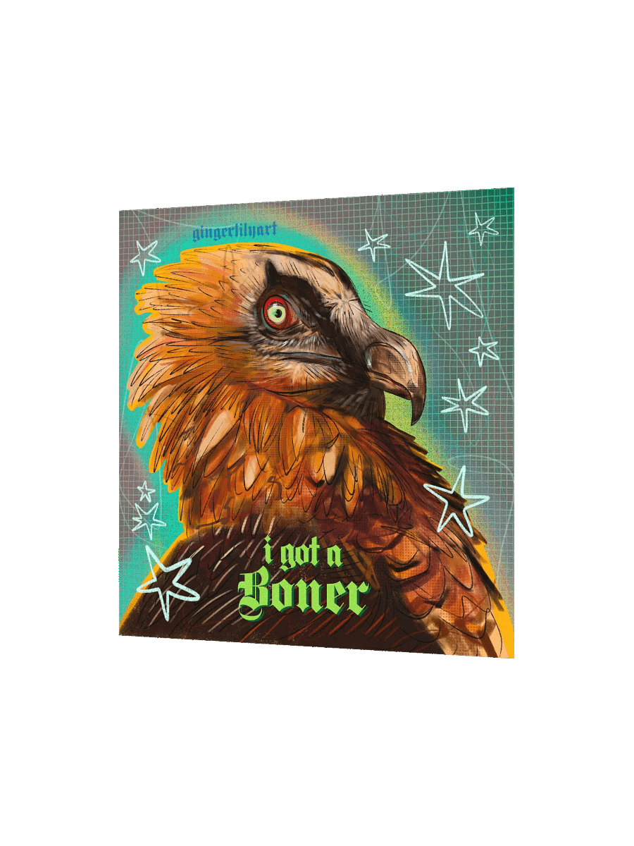 bearded vulture print product image (4)