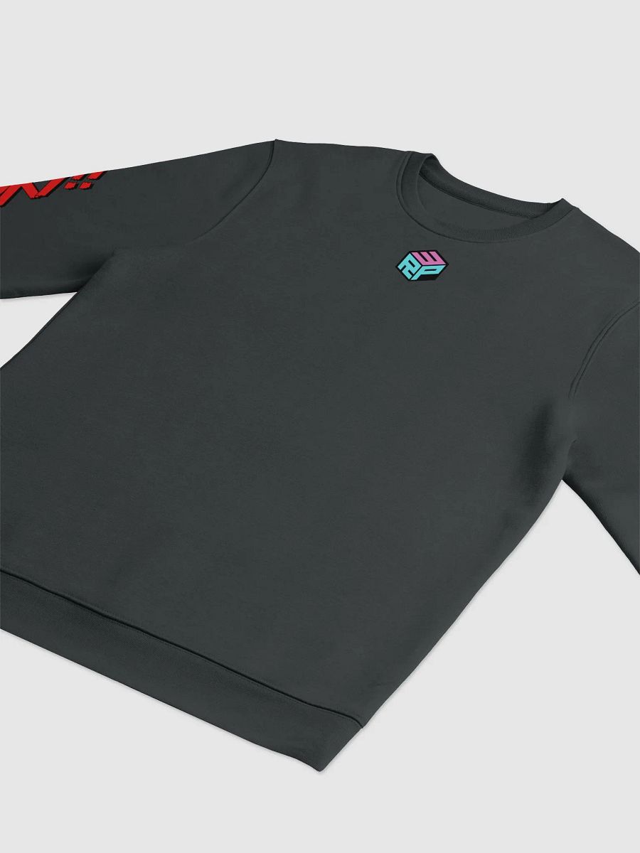 RPW Brand Logos on Arms Hoodie product image (8)